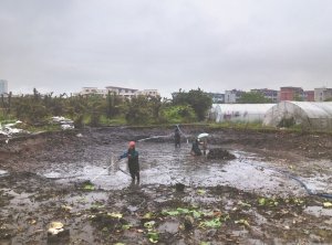 曲阳河道鱼塘清淤